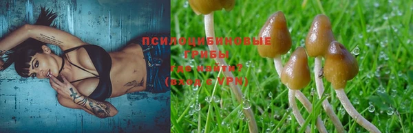 хмурый Нязепетровск