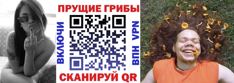 Псилоцибиновые грибы мухоморы Зерноград