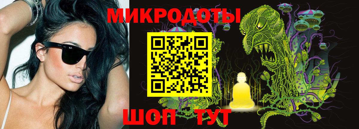 Псилоцибиновые грибы Psilocybe Зерноград
